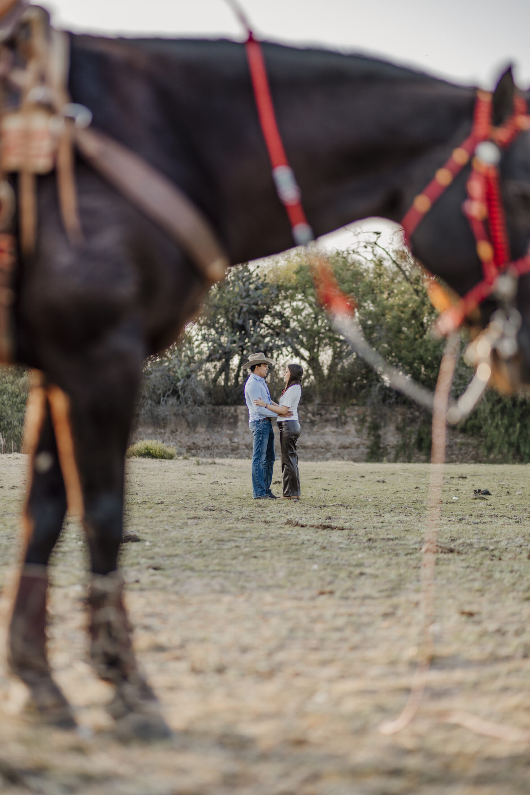 STD-42
